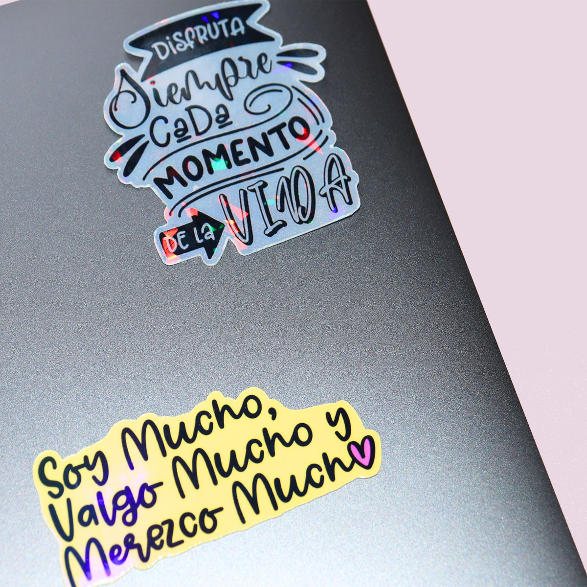 Disfruta Cada Momento De La Vida Sticker